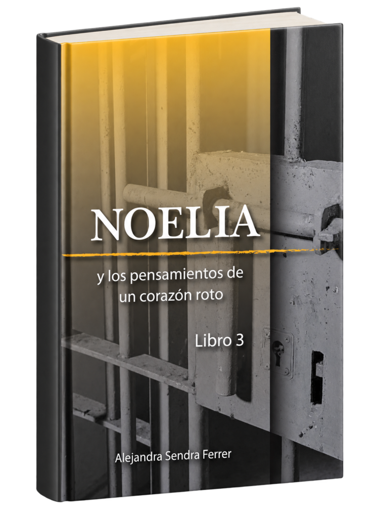 mockup del libro noelia